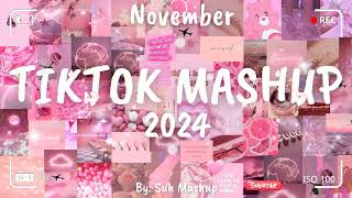 Tiktok Mashup November 💖2024💖 Not Clean [upl. by Ahsrat876]