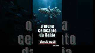 O MEGA CELACANTO DA BAHIA [upl. by Ahset]