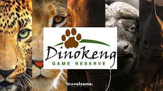 Dinokeng Game Reserve Big Five Safari Holiday Homes with Travelsome [upl. by Aniger704]