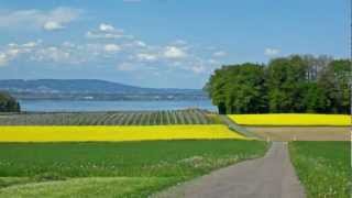 Radtour Bodensee SeerückenRoute 82 [upl. by Solrac]