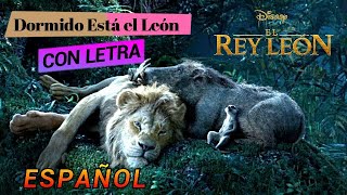 Dormido Esta el León Cancion en Español Castellano con LETRA El rey León 2019 Disney [upl. by Montano]