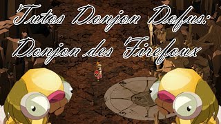 Tutos Donjons Dofus 48  Le Donjon des Firefoux [upl. by Drawoh]