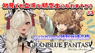 【グラブル】初見でも立派な騎空士になれますか？3 シェロカルテの特別訓練三段いくぞ！【個人Vtuber ここいつの】 [upl. by Airdnas]