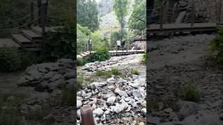 Dersim keşfet reels vlog dersim shorts video manzara munzur köy doğa aşk huzur orman [upl. by Sirtemed923]