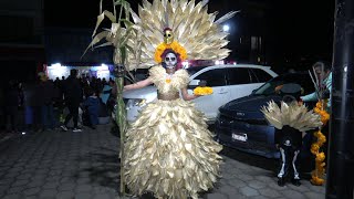 Desfile del Día de Muertos Nopalucan Puebla 2024 4k [upl. by Sessylu]