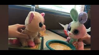 Beanie boos Anabelle and Bloom go to ChuysArchived [upl. by Aneelehs]