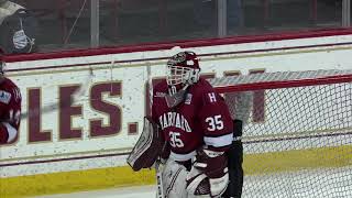 2018 Womens Beanpot  Harvard vs Northeastern Highlights [upl. by Anomahs]