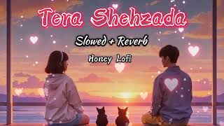 Tera Shehzada Lofi Song Slowed Reverb Lofi New Song Tranding Lofi No Copyright New Song songs [upl. by Trawets790]