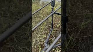 Crazy power carp reel run  No stop for this carp fishing carp carpfishing carpfishing [upl. by Naus]