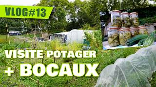 VLOG potager 13  VISITE amp BOCAUX de courgettes [upl. by Nevsa436]