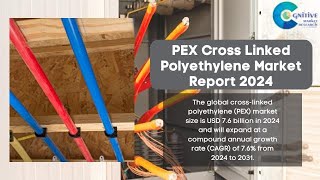 PEX Cross Linked Polyethylene Market Report 2024  Forecast Market Size amp Growth [upl. by Oilisab]