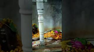 Lingashtakam  Lord Shiva Songs  Brahma Murari Surarchita Lingam yoitubeshortsviral bhajans [upl. by Ellirehs]