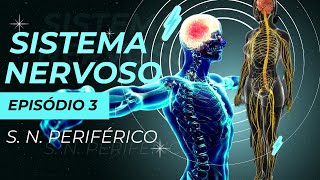 Tudo sobre Sistema Nervoso Episódio 3 SNP Sistema Nervoso Periférico [upl. by Retsof]