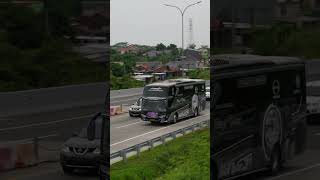 Bus Pariwisata RIZQI TRANS busindonesia indonesianbus bus busholic infobus busmania tourbus [upl. by Ruff]