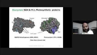 KMM Murzymes presentation MECC2020 [upl. by Leafar319]