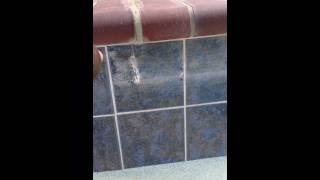 Swimming pool tile cleaning Calcium removal with glass bead [upl. by Anaylil]