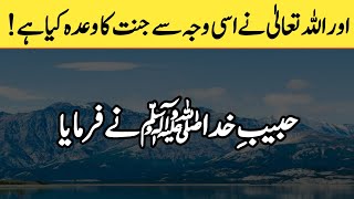 And this is why Allah has promised Paradise  farman e rasool ﷺ  the real Islam [upl. by Elyc140]