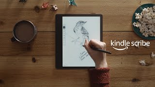 Kindle Scribe 2024 Which Digital Notepad Is Right for You [upl. by Gearard]