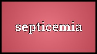 Septicemia Meaning [upl. by Ennirroc]