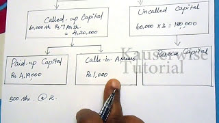 1 Company Accounts Issue of Shares Introductionsat ParPremiumDiscountwith solved problem [upl. by Nnorahs]