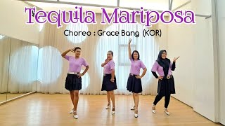 Tequila Mariposa Line Dance Choreo by Grace Bang KOR [upl. by Nnylassej]