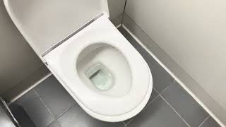 Unique DualFlush Duravit Toilet [upl. by Inwat865]