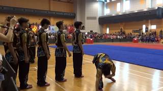 2019 Wushu A Div Boys Group Quan 集体拳  HCI [upl. by Rahsab126]