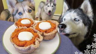 We Made Pumpkin Pie For Dogs  Thanksgiving DIY Dog Treat [upl. by Gilman]