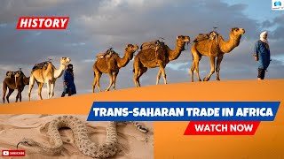 A History of the TransSaharan  Caravan Trade in Africa 🌍 [upl. by Tandie]