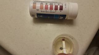 Ketone Test Strips How to use when Dieting What to results to expect [upl. by Keir]