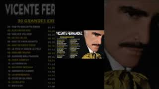 VICENTE FERNANDEZ GRANDES EXITOS  VICENTE FERNANDEZ SUS MEJORES EXITOS 240p [upl. by Sivrat]