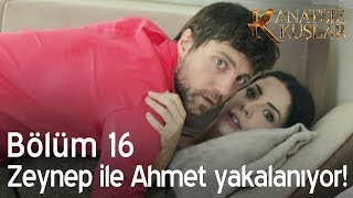 Zeynep ile Ahmet yakalanıyor  Kanatsız Kuşlar 16 Bölüm [upl. by Voltmer]