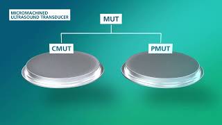 How Do Micromachined Ultrasound Transducers MUT Work  Fraunhofer IPMS [upl. by Ynohtn]