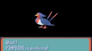 Pokemon Sapphire Part 10 Swellow Evolves [upl. by Nahraf]