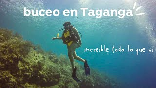 BUCEO en TAGANGA SANTA MARTA  TODO LO QUE TIENES QUE SABER mariapaulife [upl. by Baalbeer]