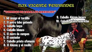 MIX VICENTE FERNANDEZCORRIDOS DE CABALLOS MARIACHI MP3MUSIC [upl. by Rosemaria249]