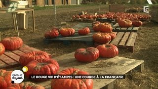 Le rouge vif détampes  une courge à la française [upl. by Phillie]