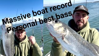 MASSIVE boat record bass  boat fishing uk 🇬🇧 winter plaice fishing fishing fish boatfishinguk [upl. by Benji287]