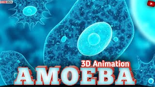 NUTRITION IN AMOEBA 3danimation neet MagnetBrainsEducation PWFoundation video [upl. by Ailedua]