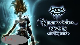 Neverwinter Nights 5 Player Coop [upl. by Hiroshi]