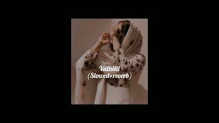 Vathilil  Slowed reverbMalayalam ayishabader [upl. by Ttelrats]