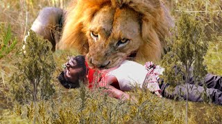 Lion Attack Man in Forest  Lion Attack Hunter  Lion Attack Stories Part7 [upl. by Rukna]