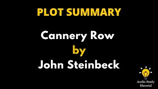 Summary Of Cannery Row By John Steinbeck [upl. by Akit]