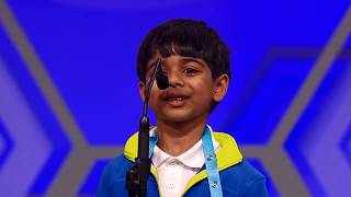 Best of the Scripps National Spelling Bee [upl. by Ecnerwal372]