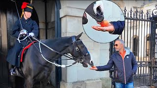 🍎𝍐Apple Fail Tourists Try to Feed the Royal Horse But It’s Not Happening [upl. by Greyso842]