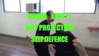 XING YI QUAN amp BAGUA  APPLICATIONS amp FORM  SYDNEY AUSTRALIA [upl. by Anaidiriv]