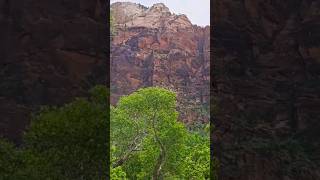 Zion Natl Park Utah Hiking to Emerald Pools [upl. by Eirrek]