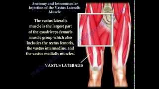 Vastus Lateralis intramuscular Injection  Everything You Need To Know  Dr Nabil Ebraheim [upl. by Lafleur220]