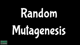 Random Mutagenesis [upl. by Irim]