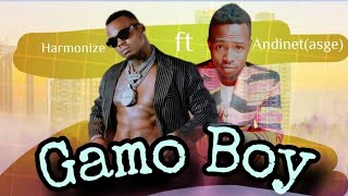 Andinet AlluAsgeGamo Boy New Ethiopian music 2024Official [upl. by Eniortna]